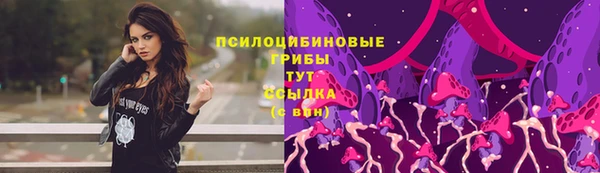 гидра Белокуриха