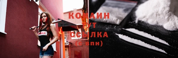 гидра Белокуриха