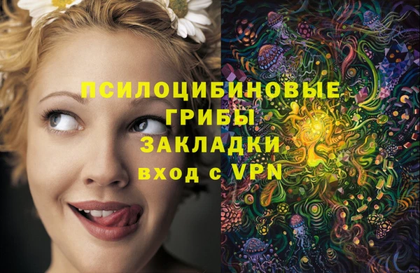 гидра Белокуриха