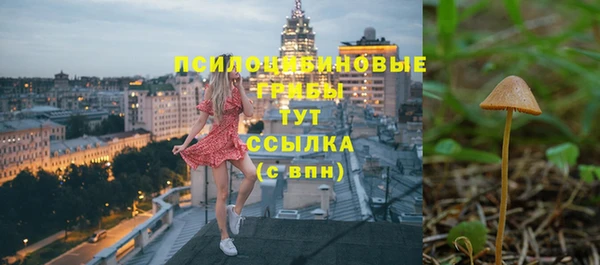 ПСИЛОЦИБИНОВЫЕ ГРИБЫ Богородицк